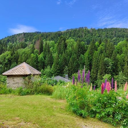 Appartement Meuble Classe 3 Etoiles De 72 M2, 2 Chambres Morzine Extérieur photo