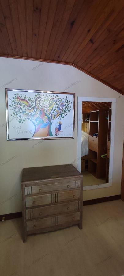 Appartement Meuble Classe 3 Etoiles De 72 M2, 2 Chambres Morzine Extérieur photo