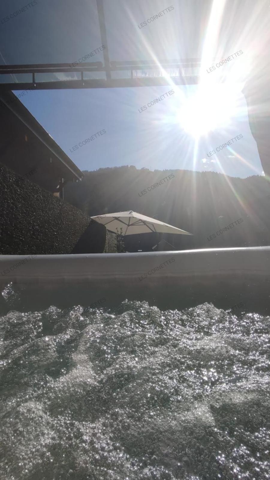 Appartement Meuble Classe 3 Etoiles De 72 M2, 2 Chambres Morzine Extérieur photo