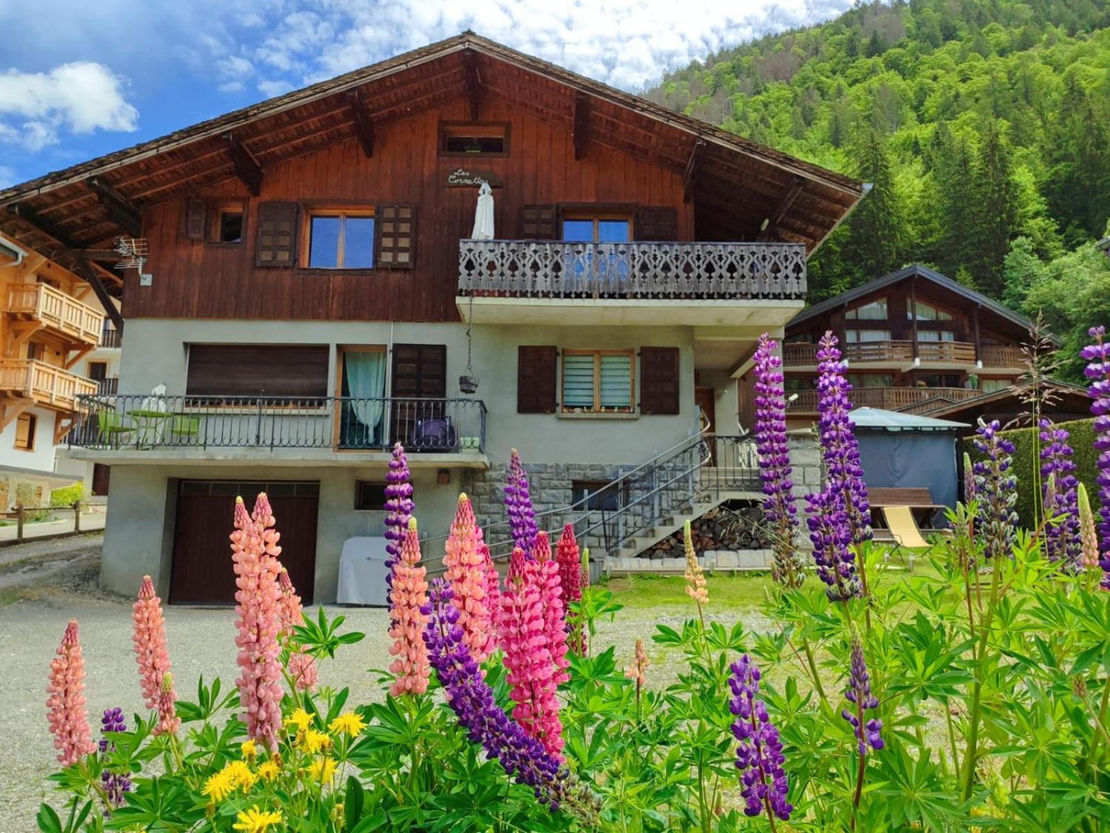 Appartement Meuble Classe 3 Etoiles De 72 M2, 2 Chambres Morzine Extérieur photo