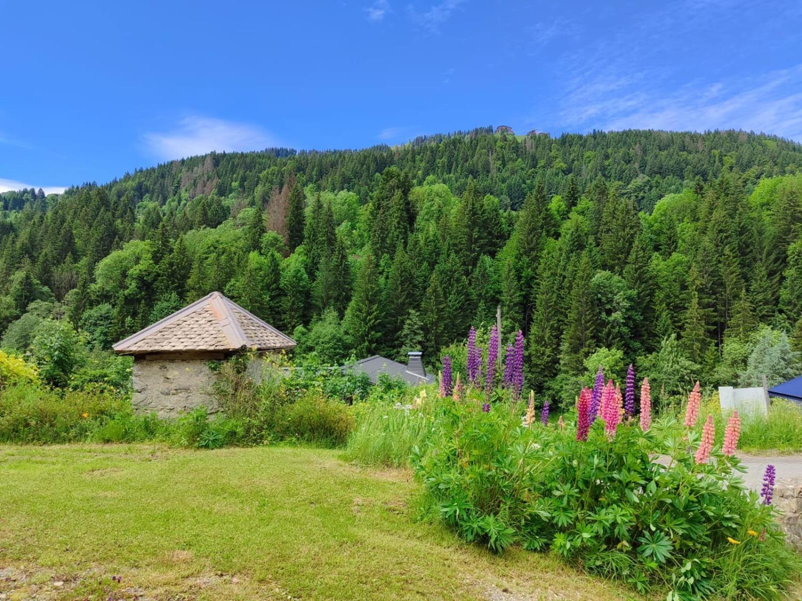 Appartement Meuble Classe 3 Etoiles De 72 M2, 2 Chambres Morzine Extérieur photo